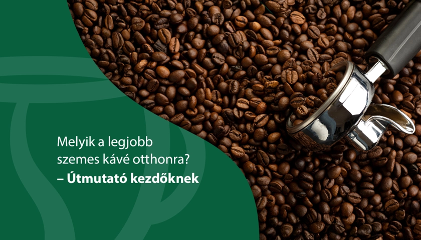 Melyik a legjobb szemes kávé otthonra? – Útmutató kezdőknek